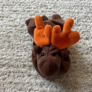 Chocolate the moose beanie baby